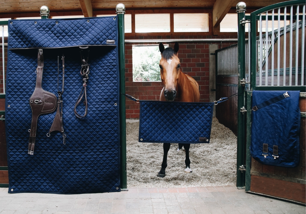 Kentucky Tilbehør Kentucky Tilbehør